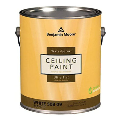תמונת פקשוט של מיכל גאלון 3.8 ליטר של בנגמין מור Ceiling Paint